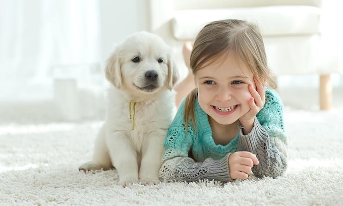 Beneficios de que los niños crezcan con mascotas