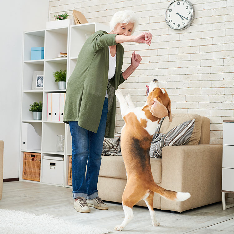 Las mejores razas de perro para la gente mayor