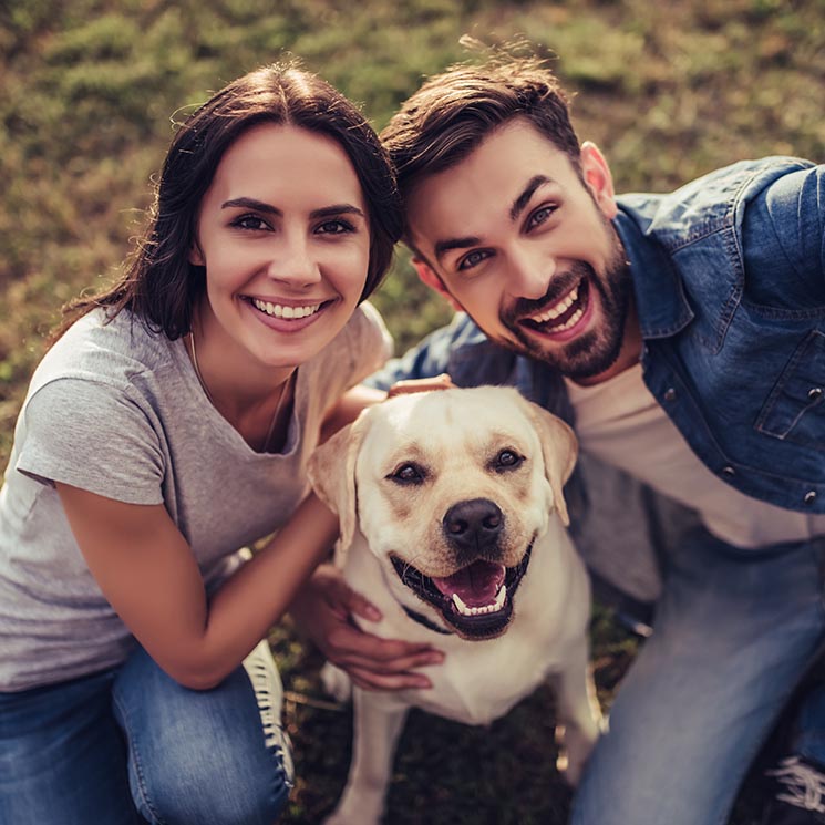 Si te divorcias, ¿quien se queda el perro o el gato?