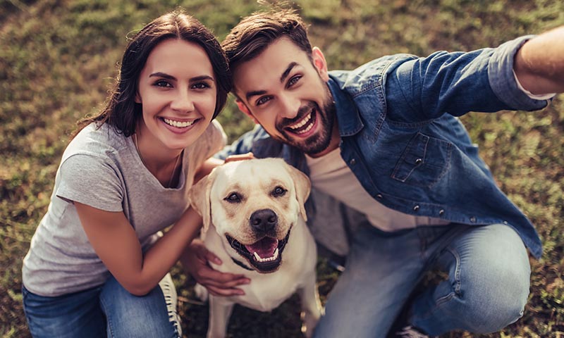 Si te divorcias, ¿quien se queda el perro o el gato?