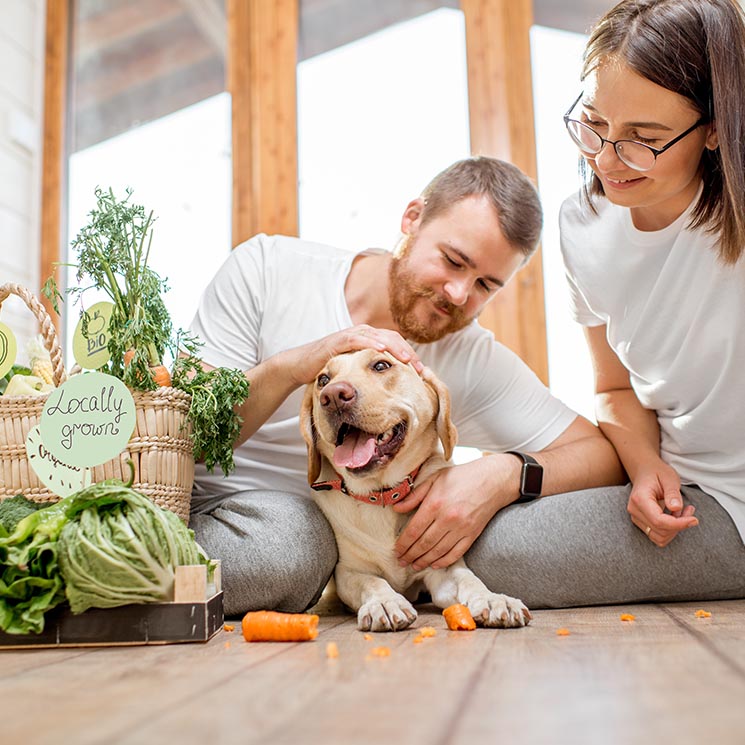 Soy vegana, ¿puede serlo mi perro?