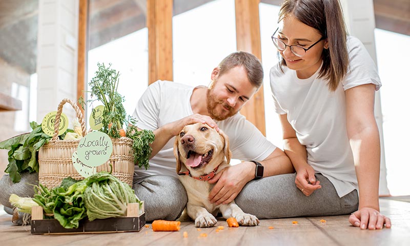 Soy vegana, ¿puede serlo mi perro?