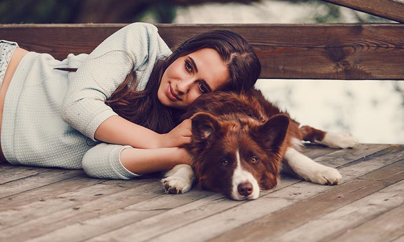 Así es un Border Collie con la familia 