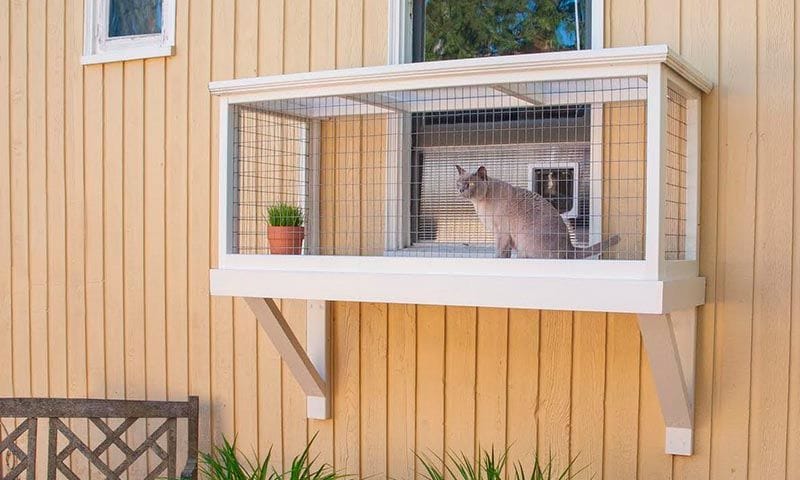 Existen los patios para gatos y se llaman catios