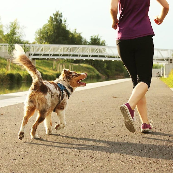Razas de perros para amantes del 'running'