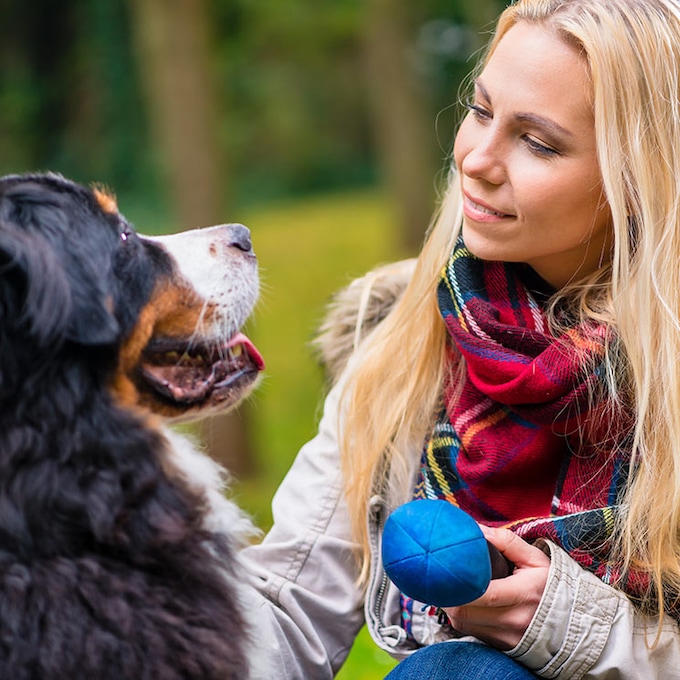 ¿Sabías que la personalidad de los perros también cambia a lo largo de la vida?