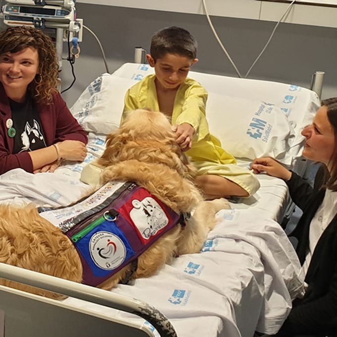 Zenit, el 'médico canino' que cuida a los más pequeños  
