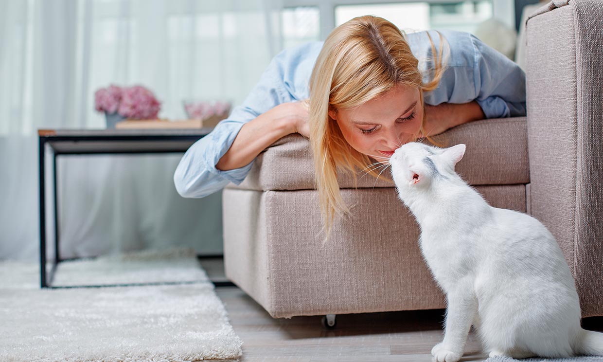 Actitudes que deberíamos aprender de nuestras mascotas