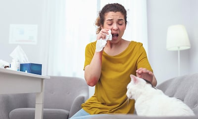 Trucos para combatir la alergia a los gatos
