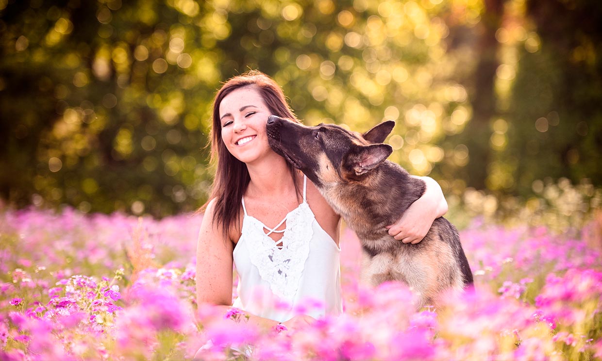 Estas son las razas de perro más amorosas