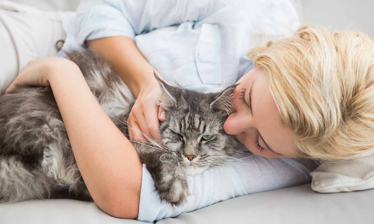 ¡Ojo! con los arañazos de gato