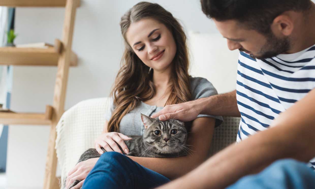 ¿Tu pareja tiene gato? Claves para aprender a amarlos