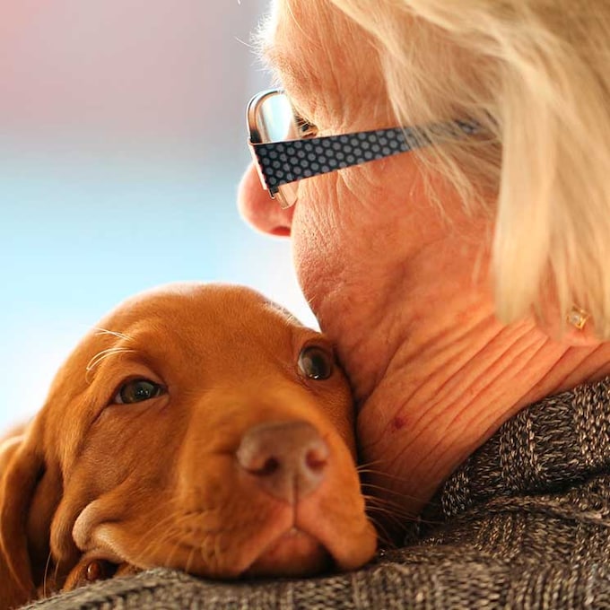 Cómo una mascota puede mejorar la vida de las personas mayores
