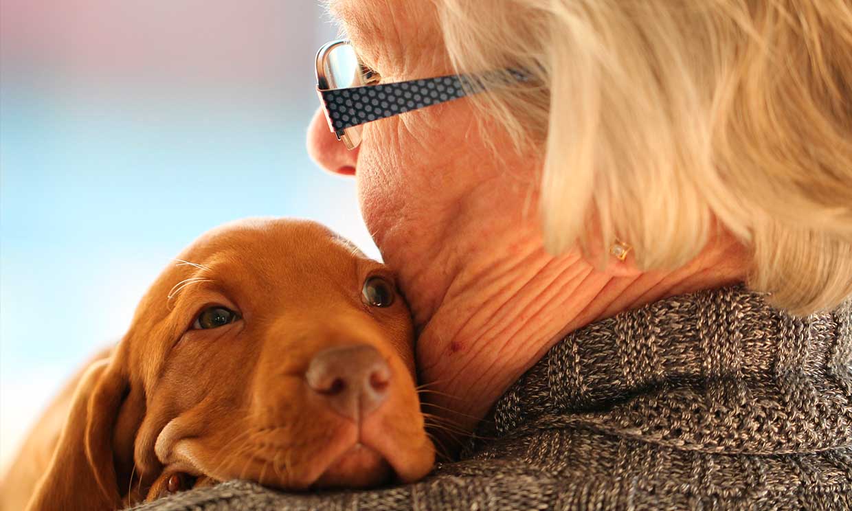 Cómo una mascota puede mejorar la vida de las personas mayores