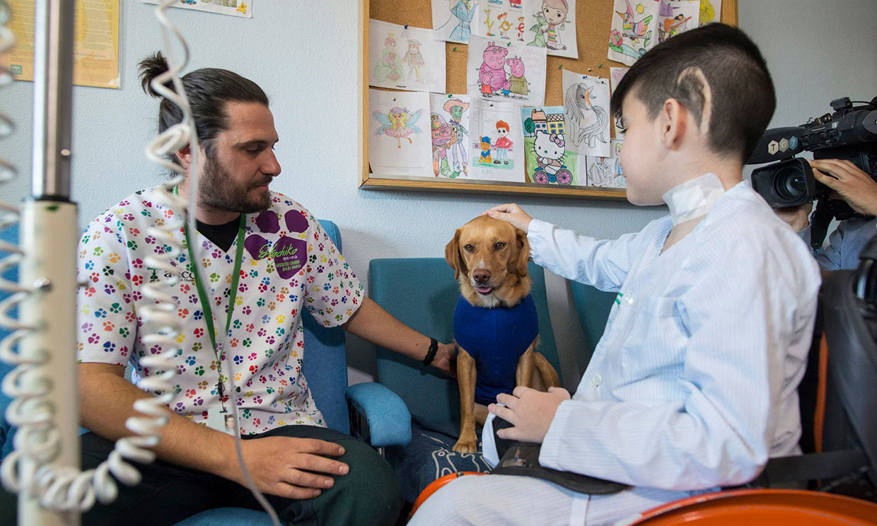 Perros terapeutas, un proyecto pionero en el hospital Materno Infantil de Granada