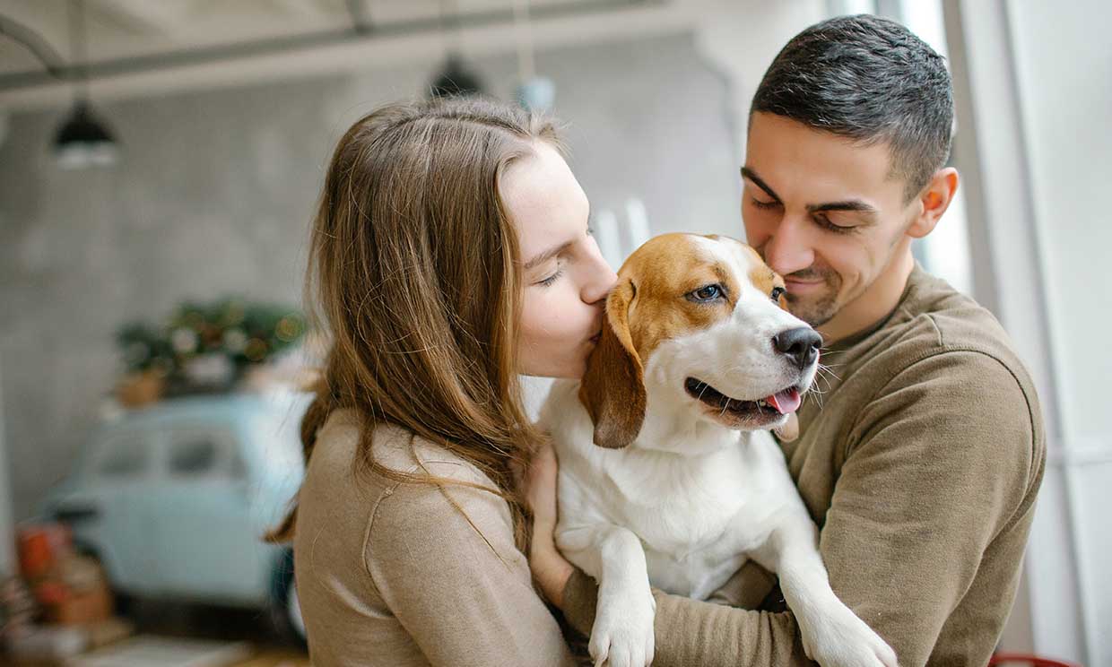 Por qué tener una mascota ayuda a reforzar los lazos con la pareja