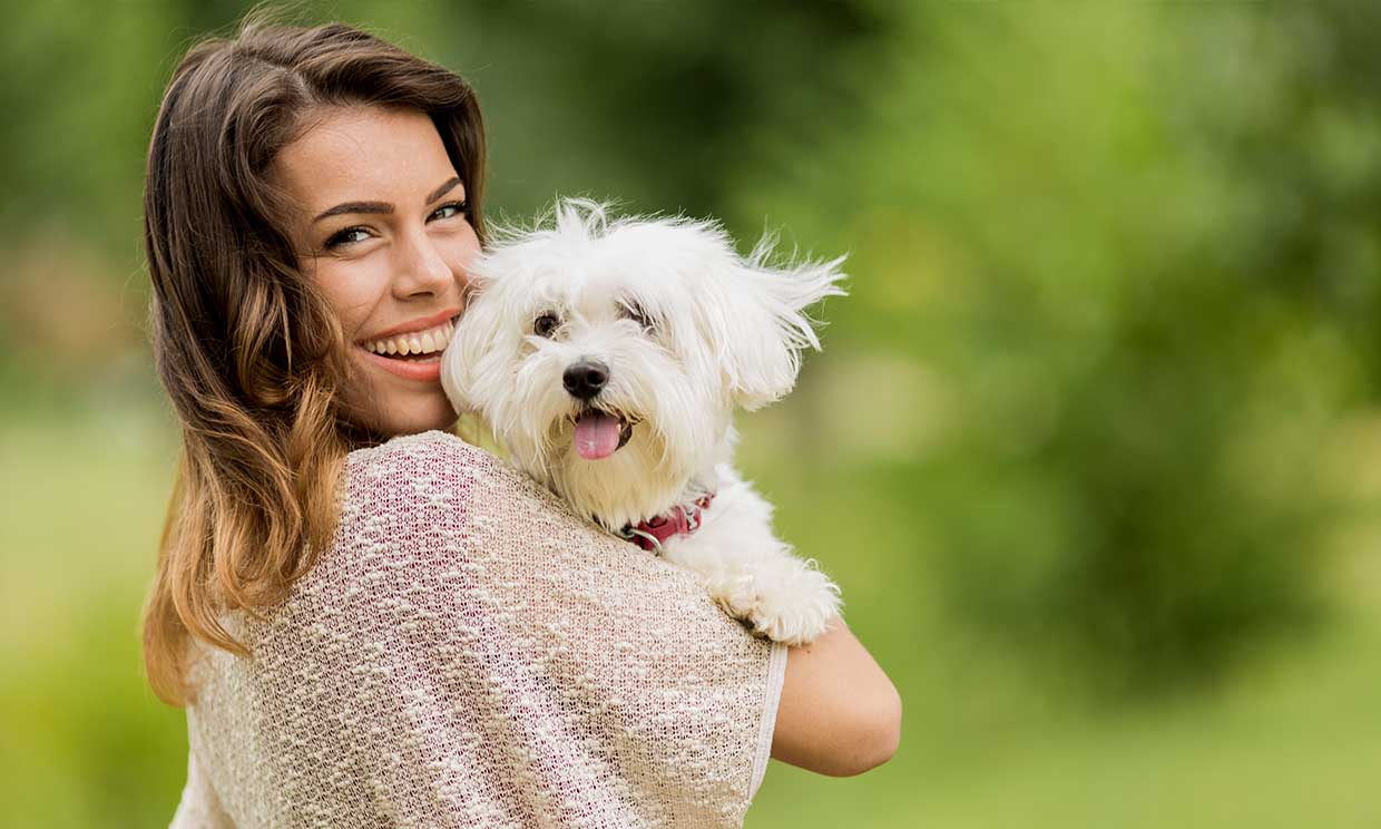 Estos son los nombres más habituales para perros