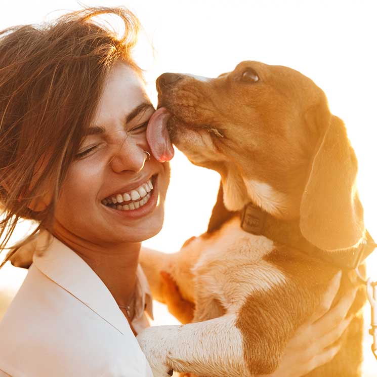 Estas son las razas de perros más cariñosos