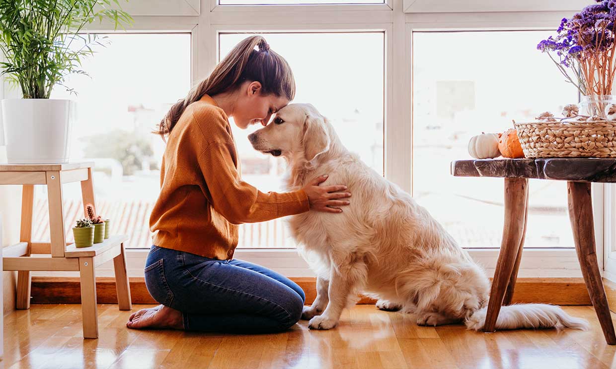 Tu perro agradece tu cariño ¿pero cómo transmitirlo? 