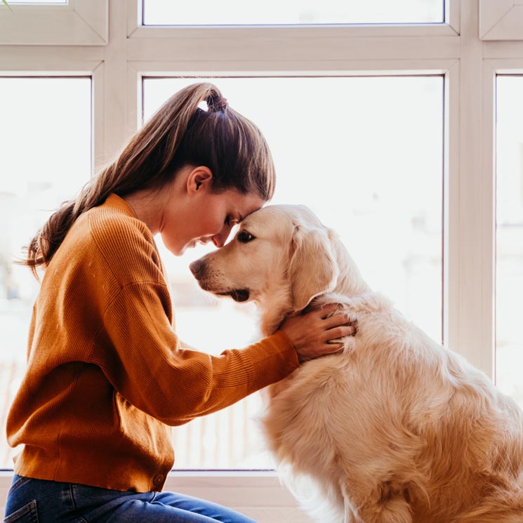 ¿Qué gastos conlleva tener un perro?