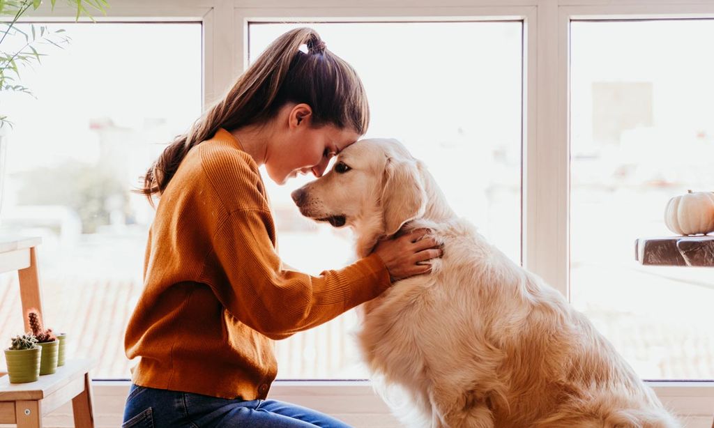 ¿Qué gastos conlleva tener un perro?