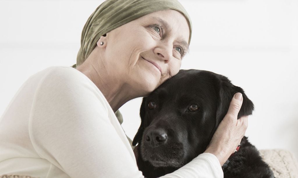 Los perros tienen un olfato capaz de detectar el cáncer