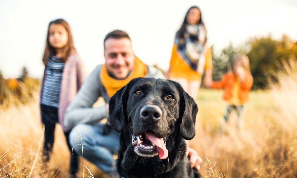 Rasgos de tu comportamiento que denotan que tu mascota es parte de la familia