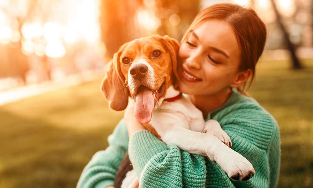 ¿Cuáles son las etapas más importantes en la vida de nuestro perro?