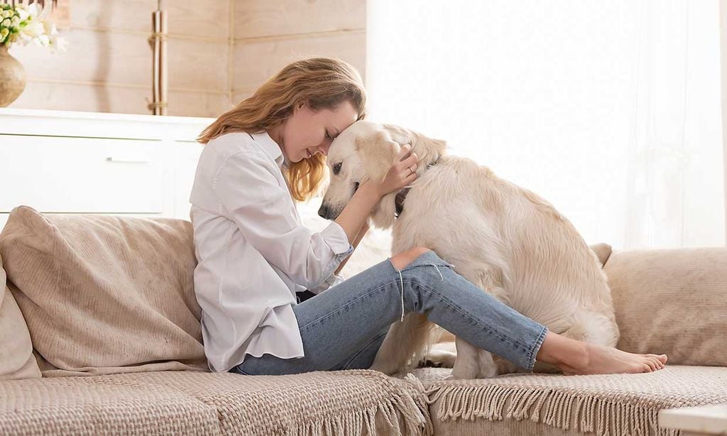 ¿Cómo hacer con las mascotas durante la cuarentena si tienes la custodia compartida? 