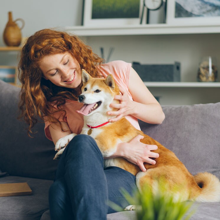 Las razas de perro que mejor llevarán el final del confinamiento 