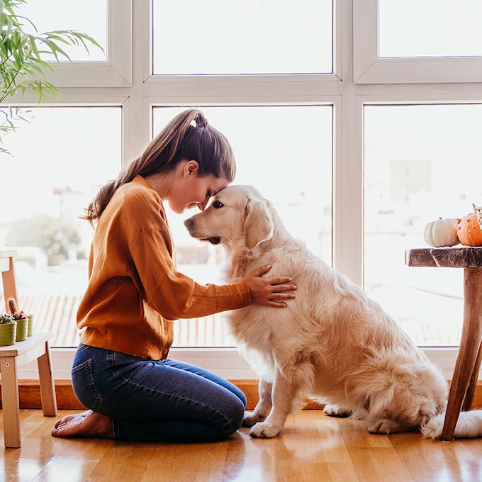 Cómo limpiar la casa cuando convives con una mascota