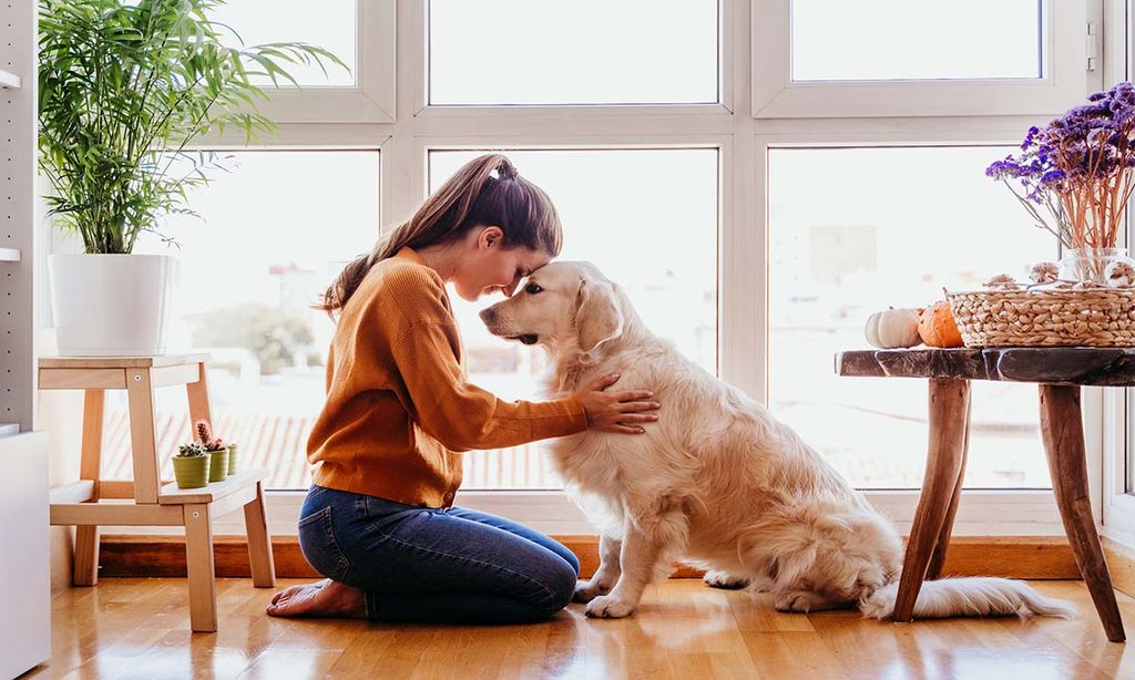 Cómo limpiar la casa cuando convives con una mascota