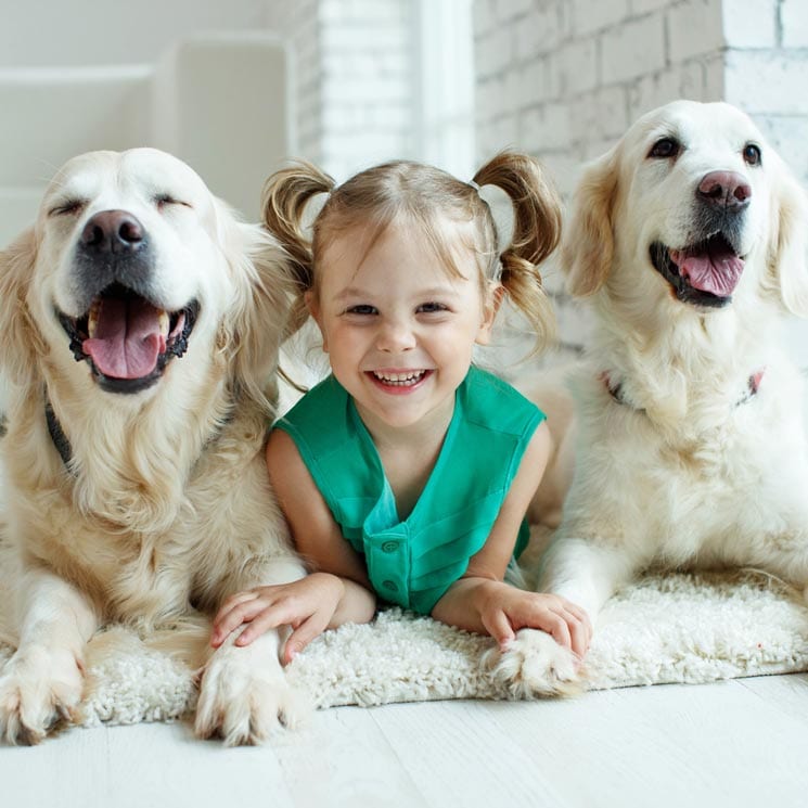 ¡Hoy es su día! Apunta estos beneficios psicológicos de tener un perro en la familia