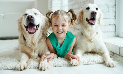 ¡Hoy es su día! Apunta estos beneficios psicológicos de tener un perro en la familia