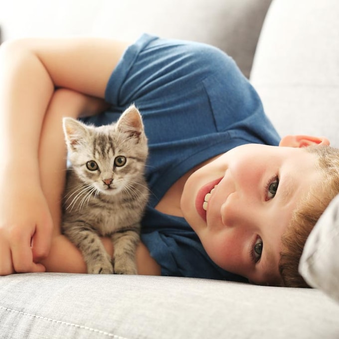¿Cuáles son las mejores razas de gato para convivir con niños?