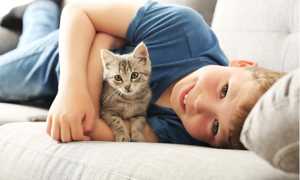 niño con gato