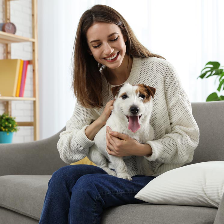 ¿Tu mascota pierde mucho pelo? Apunta estos consejos para eliminarlo mejor