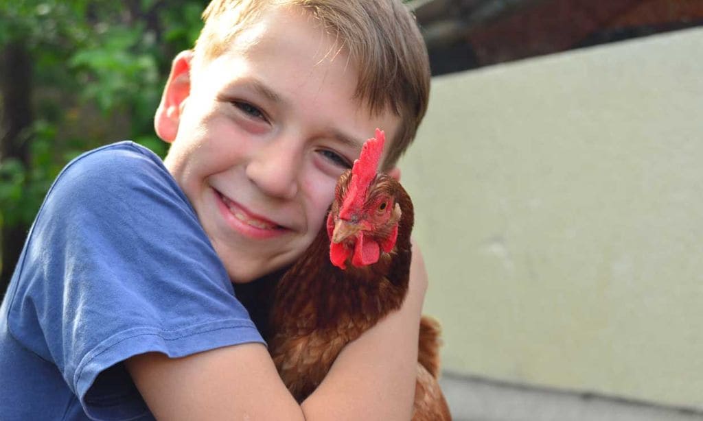 Niño sonriente abrazando una gallina