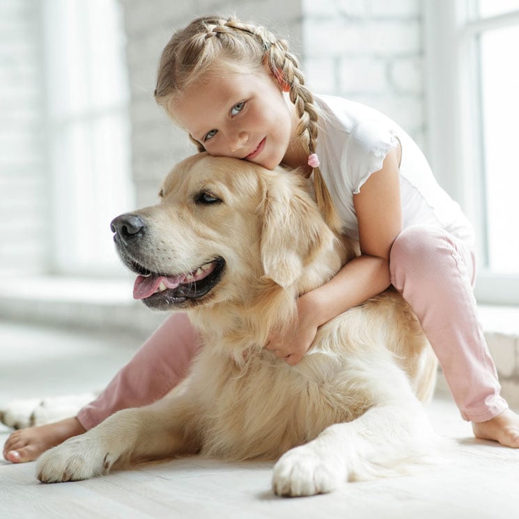 Razas de perro dóciles, ideales para principiantes y familias con niños