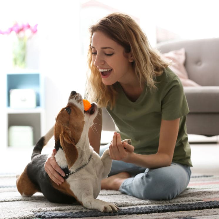 ¿Y tú, sabes cómo hacer feliz a tu perro?