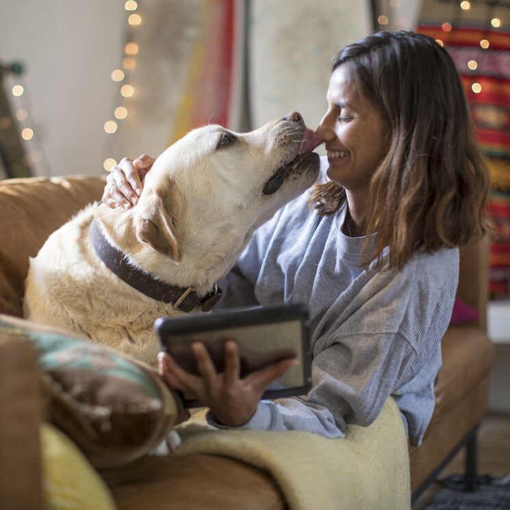 ¿Sabes por qué tu perro te lame tanto? Te contamos las posibles causas