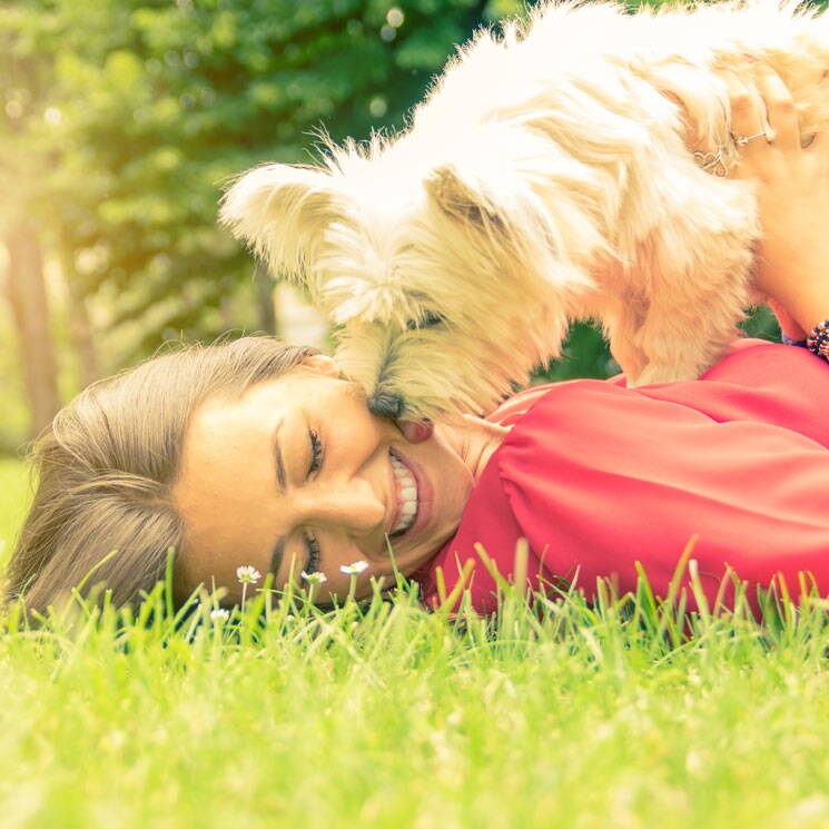 ¿Por qué mi perro tiene la manía de montarme o montar a otros perros? 