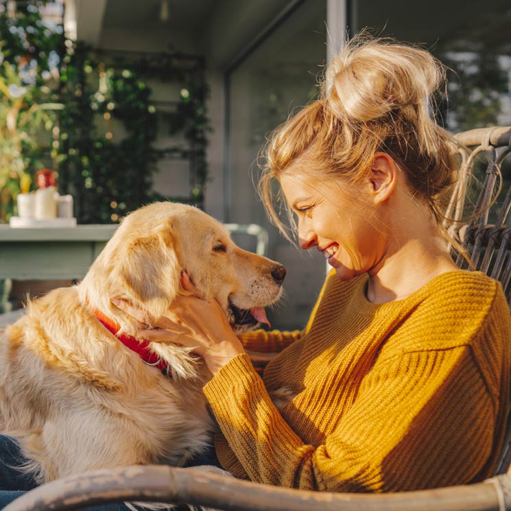 ¿Sabes qué siente tu perro cuando le acaricias?