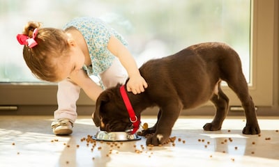 ¿Sabes que las mascotas pueden ayudar a la salud emocional de los niños?