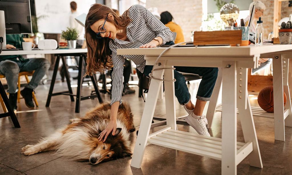 mujer con perro en el trabajo