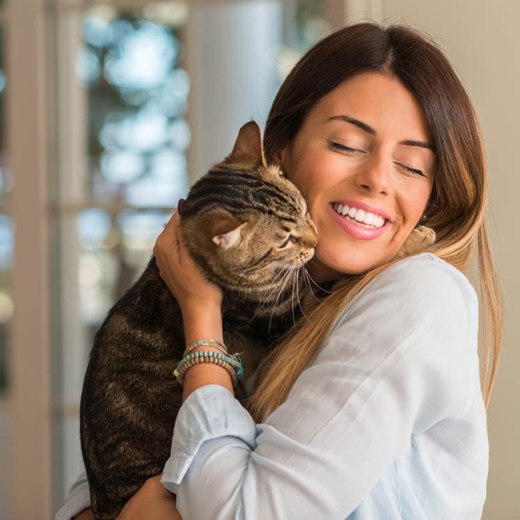 ¿Quieres saber por qué tu gato te adora? Estos son los motivos