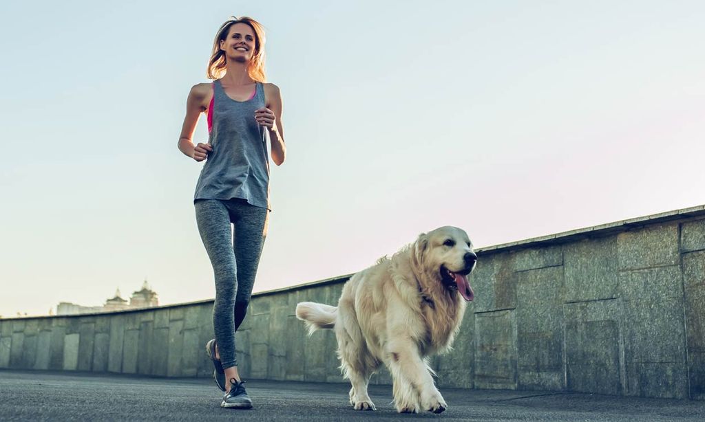 Las razas de perro más activas, perfectas si te gusta hacer ejercicio