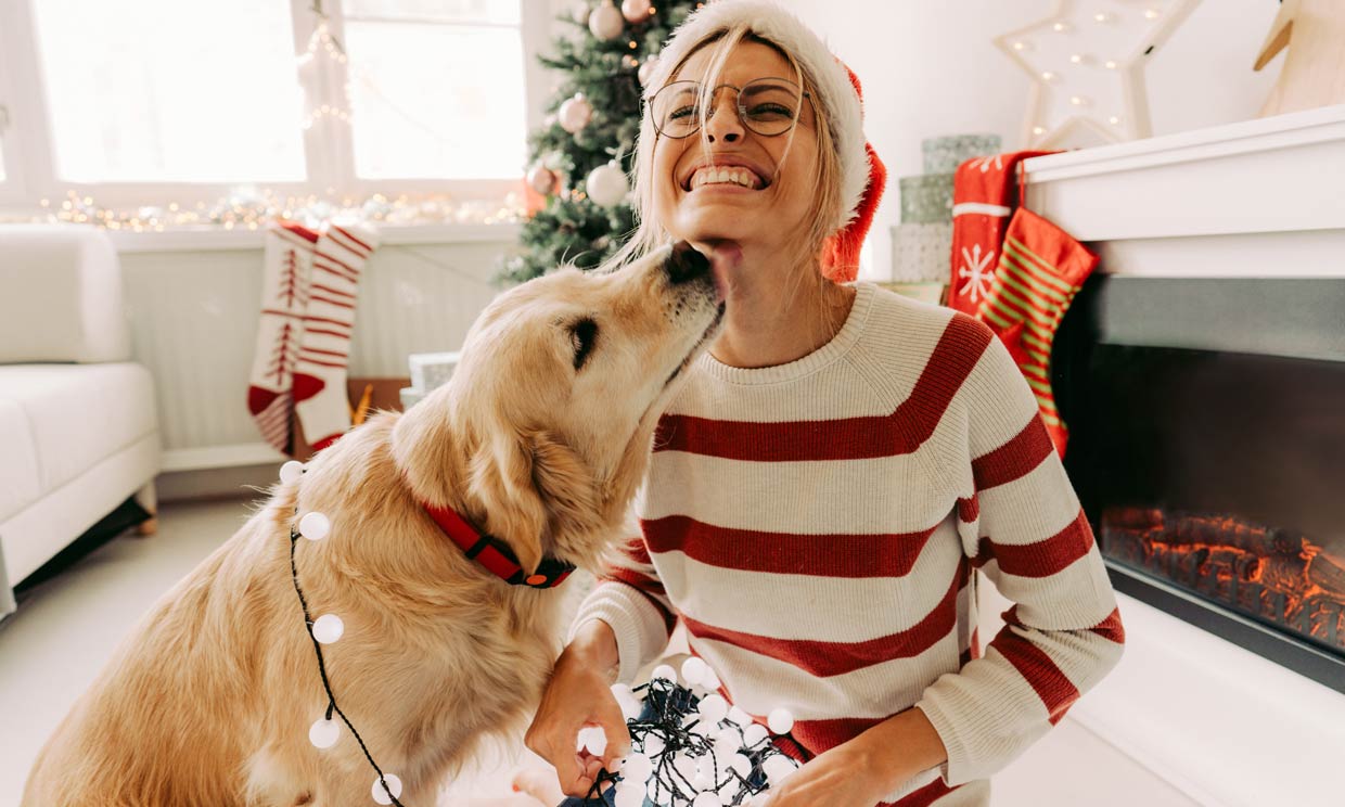 Chica y perro poniendo adornos navideños