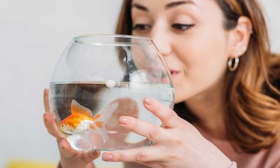 ¿Qué diferencia hay entre peces de agua dulce y de agua salada?