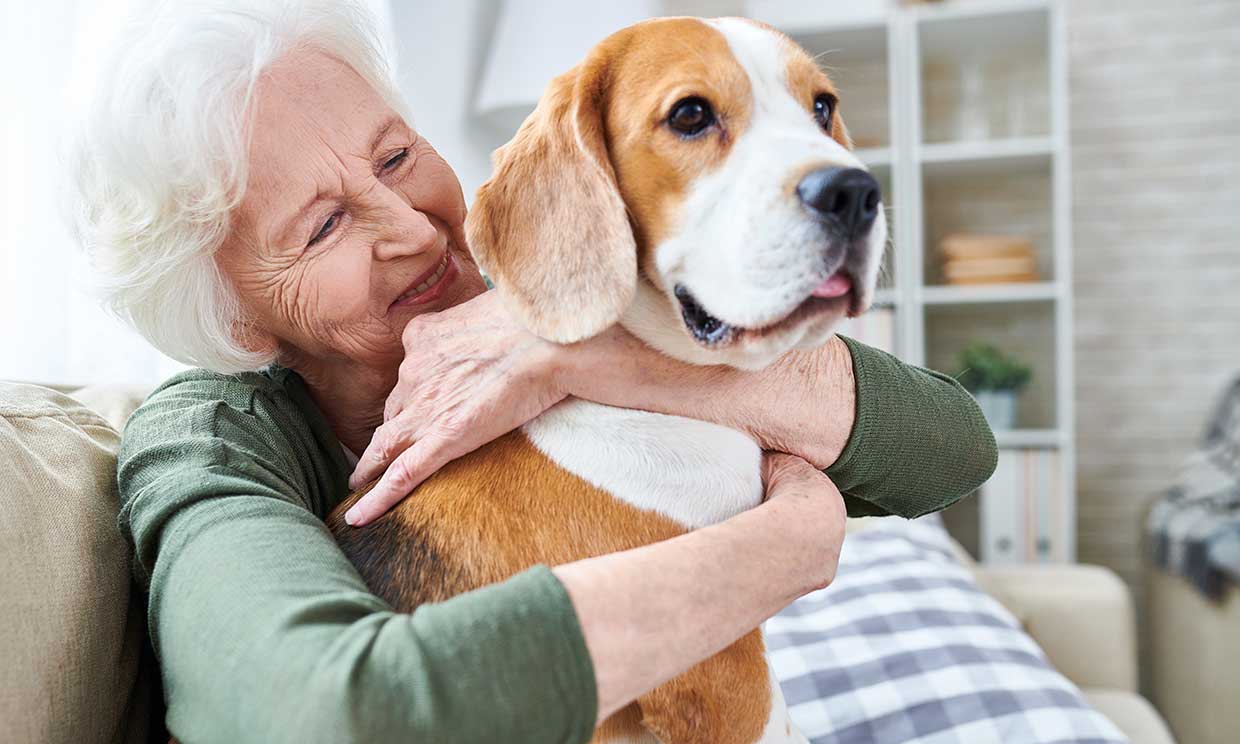 Mascotas terapéuticas para la soledad de los ancianos que viven solos